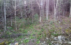 Route 309 N., Notre-Dame-de-Pontmain, QC J0W1S0, CA, Notre-Dame-de-Pontmain, Quebec J0W1S0