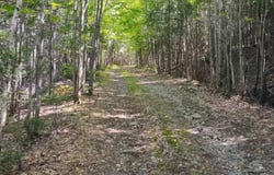 Route Morin, Val-David, QC J0T2N0, CA, Val-David, Quebec J0T2N0
