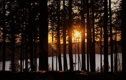Ch. des Skieurs, Mont-Tremblant, Quebec J8E 1T1