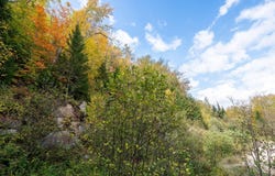 Ch. de la Rive, Ferme-Neuve, QC J0W1C0, CA, Ferme-Neuve, Quebec J0W1C0