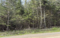 Beech Hill Road Lot 06 - A1-R, Princeport, Nova Scotia B6L 1B7