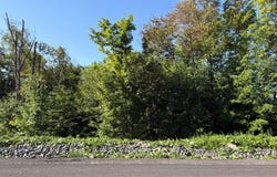 Rue de l'Excursion, Morin-Heights, Quebec J0R1H0