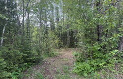 3322 Sent. Nil-Simard, La Baie, QC G7B3P7, CA, La Baie, Quebec G7B3P7