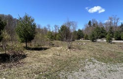 Ch. de la Pineraie, Sainte-Anne-des-Lacs, QC J0R1A0, CA, Sainte-Anne-des-Lacs, Quebec J0R1A0