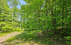 Rue du Mont-Rainer, Sainte-Agathe-des-Monts, QC J8C2Z7, CA, Sainte-Agathe-des-Monts, Quebec J8C2Z7
