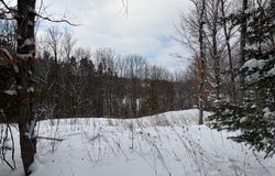 86A Ch. Murray, La Pêche, Quebec J0X2W0