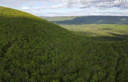 Grant 15819 Marsh Brook Road, Margaree Centre, Nova Scotia B0E 1Z0