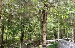LOT 454 SEGUIN Crescent, Tiny, Ontario L9M 0C9