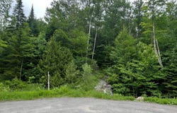 Ch. des Orignaux, Sainte-Anne-des-Lacs, QC J0R1B0, CA, Sainte-Anne-des-Lacs, Quebec J0R1B0