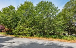 581 MacMillan Dr, Sayward, British Columbia V0P 1R0