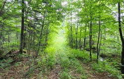 Rg Gosford, Saint-Raymond, QC G3L1P2, CA, Saint-Raymond, Quebec G3L1P2