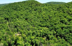 Ch. de la Montagne, Amherst, Quebec J0T2L0
