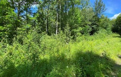 Ch. Lesage, Lac-Sainte-Marie, QC J0X1Z0, CA, Lac-Sainte-Marie, Quebec J0X1Z0