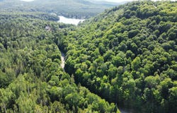 71 Ch. Mariane, Lac-Supérieur, Quebec J0T 1J0
