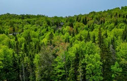 Rue des Gardénias, Sainte-Marguerite-du-Lac-Masson, QC J0T2N0, CA, Sainte-Marguerite-du-Lac-Masson, Quebec J0T2N0