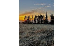 Broad Cove Banks Road Lot 4, Inverness, Nova Scotia B0E 1N0