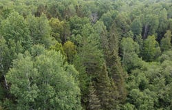 Mtée Foisy, Lac-des-Écorces, Quebec J0W1H0