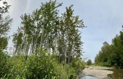 Route de la Rivière, Grande-Vallée, Quebec G0E1K0