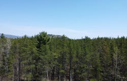 Ch. du Friche , Clermont, QC G4A1E9, CA, Clermont, Quebec G4A1E9