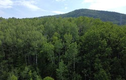 Ch. du Friche , Clermont, QC G4A1E9, CA, Clermont, Quebec G4A1E9