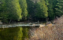 Rue Daphnie, Chertsey, QC J0K3K0, CA, Chertsey, Quebec J0K3K0