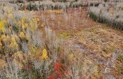 Feener Road, Farmington, Nova Scotia B0R 1A0
