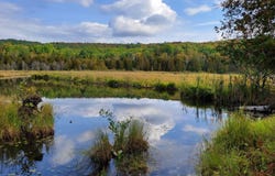 Ch. Léonard, Kiamika, Quebec J0W1G0