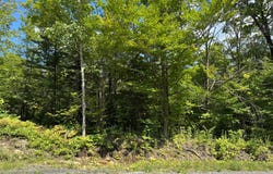 Mtée des Laurentides, Saint-Barthélemy, Quebec J0K1K0