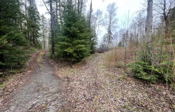 Ch. du Boisé, Alma, Quebec G8E0A5