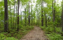 Ch. River, L'Isle-aux-Allumettes, Quebec J0X1M0