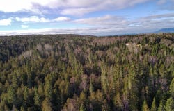 2e Rang E., New Richmond, Quebec G0C2B0