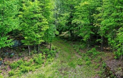 Ch. du Lac-à-la-Truite, La Minerve, QC J0T1S0, CA, La Minerve, Quebec J0T1S0