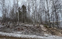 Rue des Oeillets, Mont-Laurier, QC J9L3G3, CA, Mont-Laurier, Quebec J9L3G3