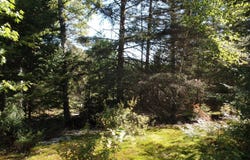 121 Ch. Renaud, Val-des-Bois, Quebec J0X3C0