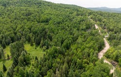 335 Allée Paisible, Mont-Tremblant, QC J8E0E9, CA, Mont-Tremblant, Quebec J8E0E9