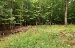 Rue Théophile-Ouimet, Lac-des-Écorces, QC J0W1H0, CA, Lac-des-Écorces, Quebec J0W1H0
