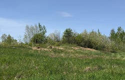 Ch. du Panorama, Alma, Quebec G8B4W6