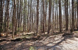 29 Ch. Pine Ridge, La Pêche, Quebec J0X3G0