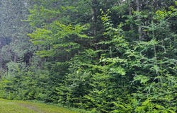 Imp. Provost, Huberdeau, QC J0T1G0, CA, Huberdeau, Quebec J0T1G0