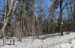 7740 Ch. River, Pontiac, Quebec J0X2G0