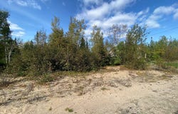 407 Rue Montigny, Sept-Îles, Quebec G0G1L0