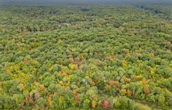 700 BUNNY Trail, Whitestone, Ontario P0A 1G0