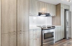 1150 Rue St-Denis, Montréal, Quebec H2X3J5