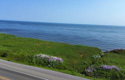 Route 132 O., Percé, Quebec G0C1G0