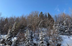 Ch. de St-Adolphe, Morin-Heights, Quebec J0R1H0