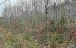 Highway 10 Lot 5, New Germany, Nova Scotia B0R 1E0