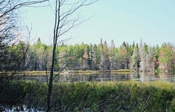 3306 Route du Peintre, Saint-Léandre, QC G0J2V0, CA, Saint-Léandre, Quebec G0J2V0