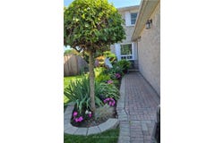 39 Aranka Court, Richmond Hill, Ontario L4C7V2