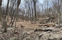 Ch. Forest Hill, Saint-Adolphe-d'Howard, Quebec J0T2B0