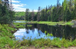 6 Ch. Wolfe, Thorne, QC J0X2A0, CA, Thorne, Quebec J0X2A0